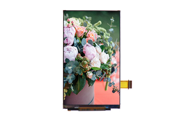 小尺寸，大視界——4.3寸480×800 TFT液晶屏的多領(lǐng)域創(chuàng)新應(yīng)用