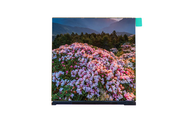 3.95寸480*480 IPS方屏：規(guī)格、性能與應用領域詳解