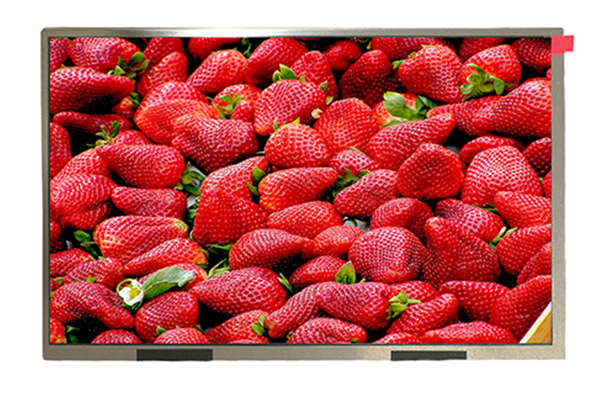 為何10.1寸1280*800屏成市場寵兒？解析其高性價比與全能表現(xiàn)